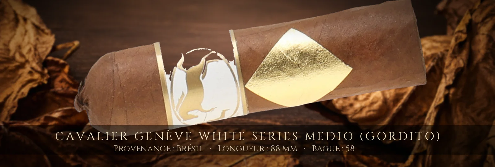 Cavalier Genève White Series Medio (Gordito) — Cavalier Genève — Brésil