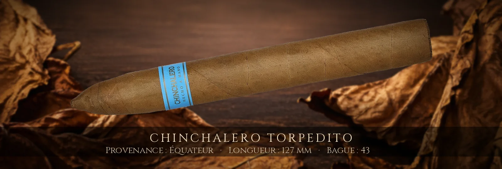 Chinchalero Torpedito — Chinchalero — Équateur