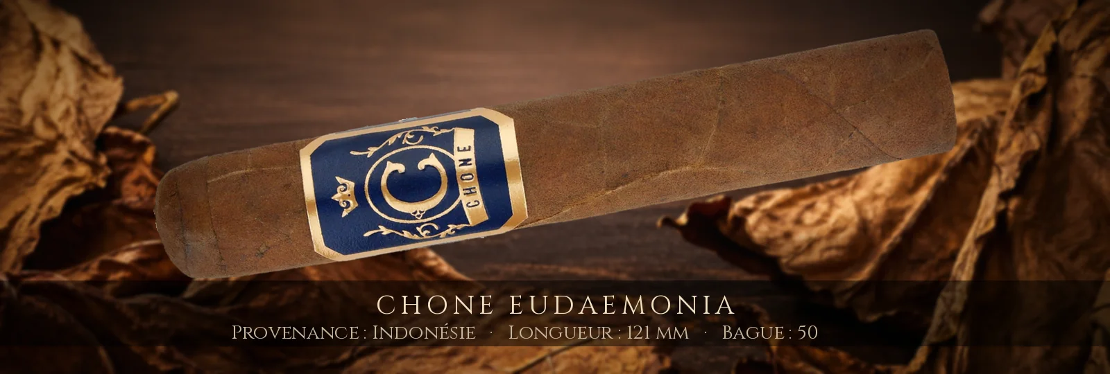 Chone Eudaemonia — Chone — Indonésie