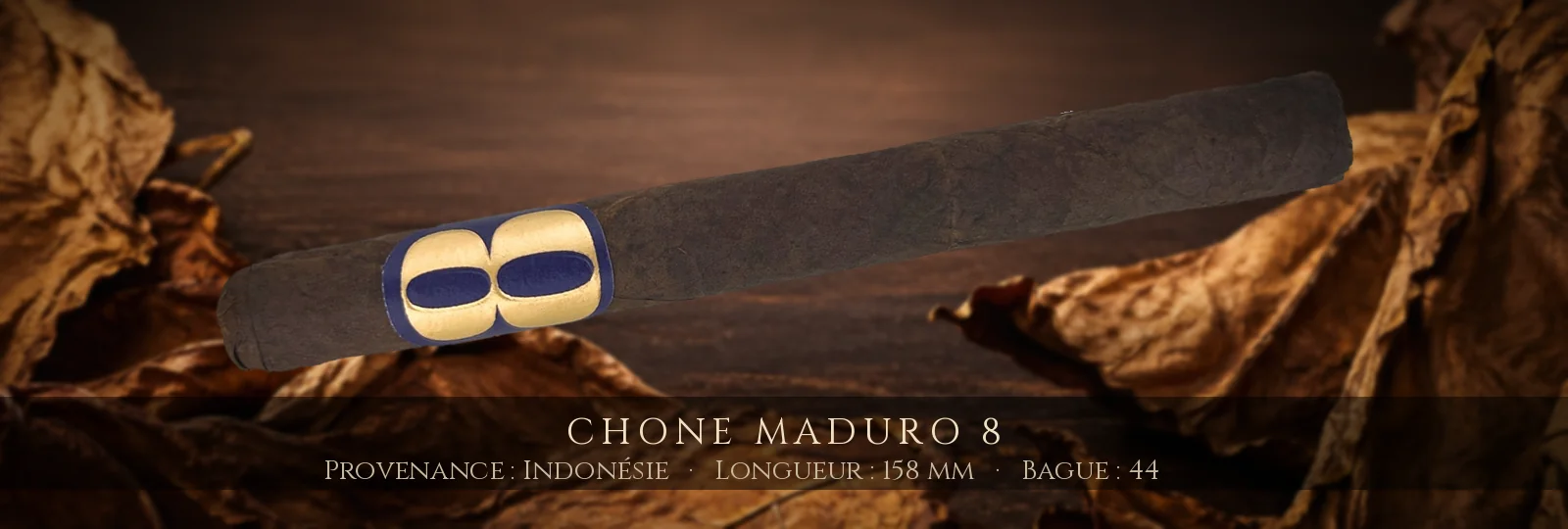 Chone Maduro 8 — Chone — Indonésie