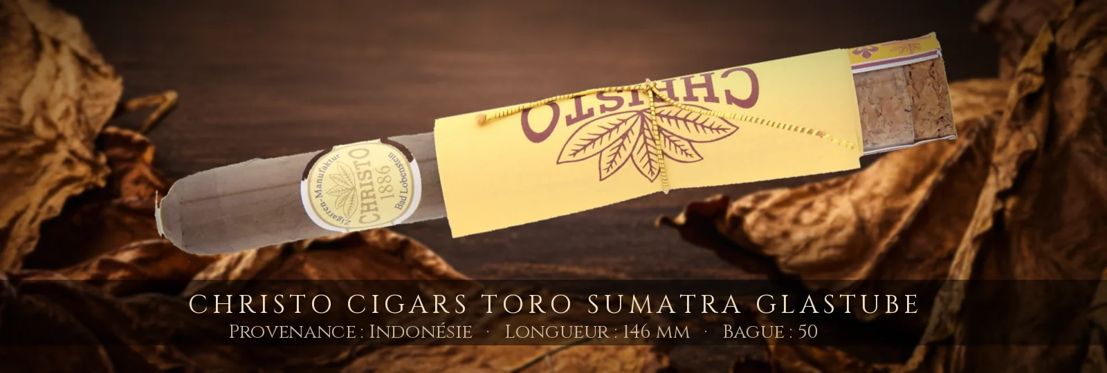 Christo Cigars Toro Sumatra Glastube — Christo — Indonésie