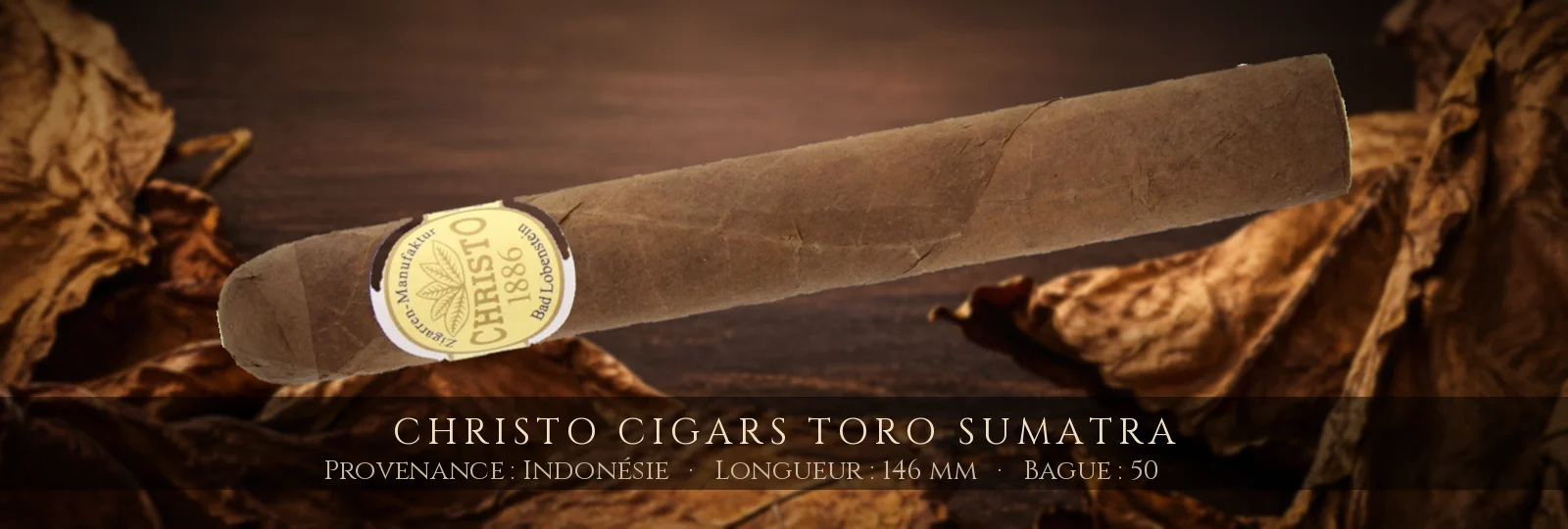 Christo Cigars Toro Sumatra — Christo — Indonésie