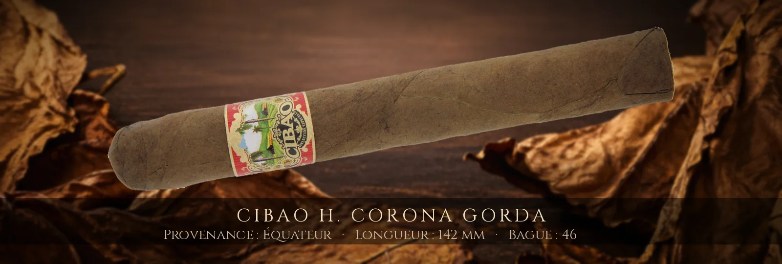 Cibao H. Corona Gorda — Cibao — Équateur