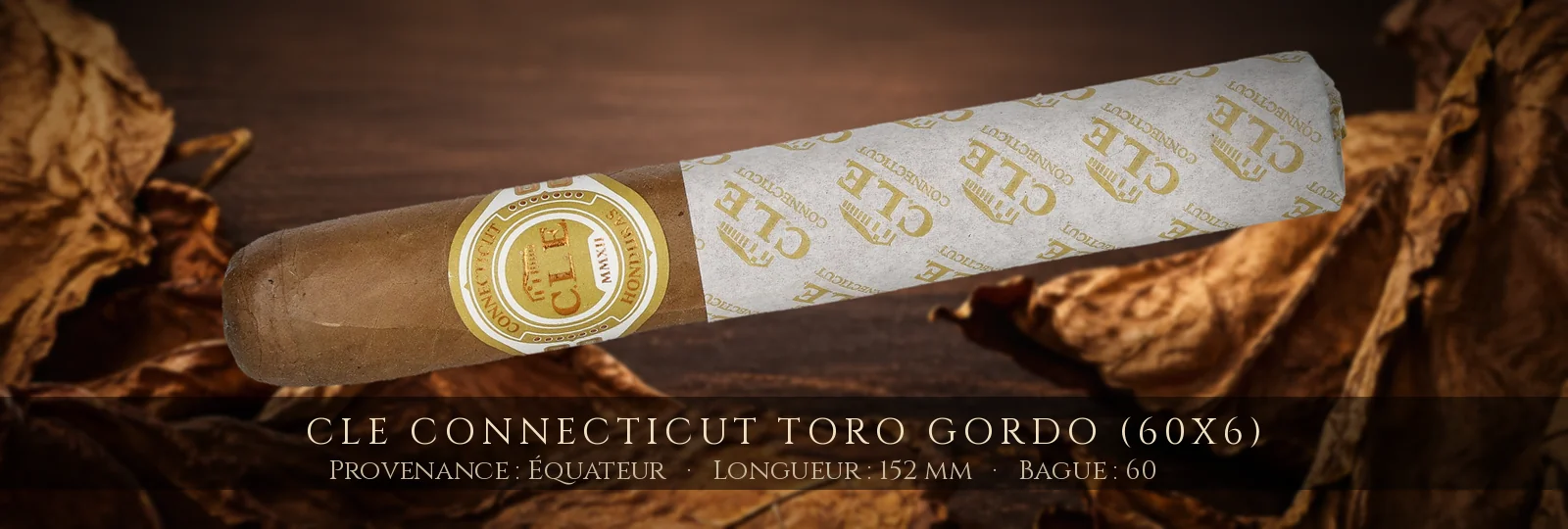 CLE Connecticut Toro Gordo (60x6) — CLE — Équateur