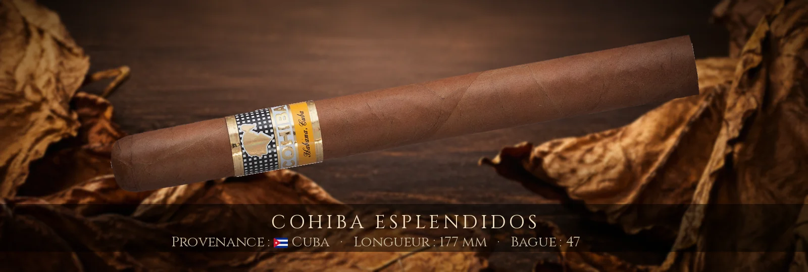 Cohiba Esplendidos — Cohiba — Cuba