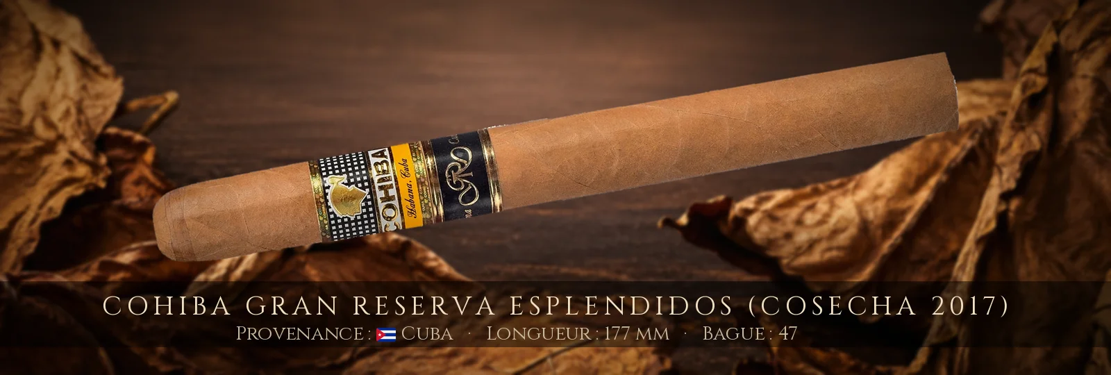Cohiba Gran Reserva Esplendidos (Cosecha 2017) — Cohiba — Cuba