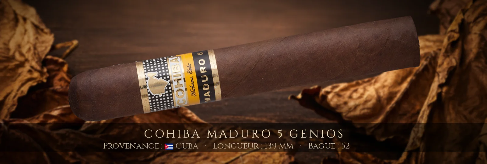 Cohiba Maduro 5 Genios