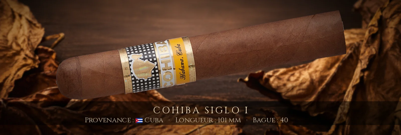 Cohiba Siglo I
