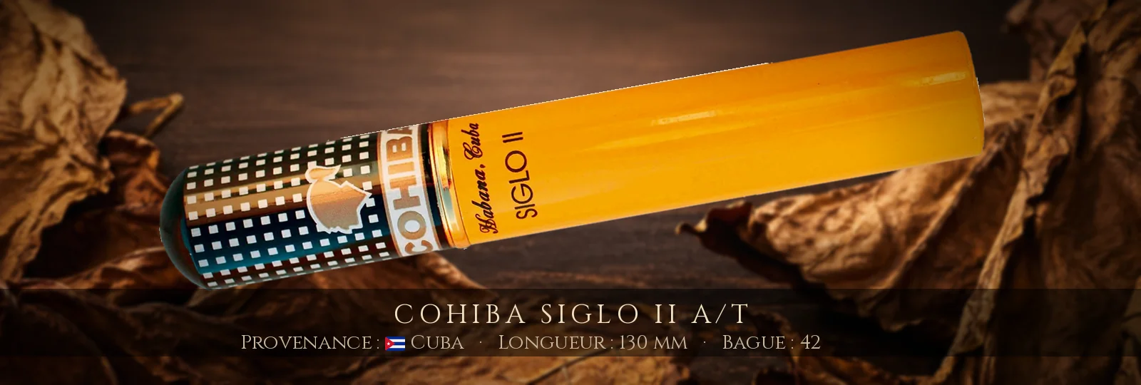 Cohiba Siglo II A/T — Cohiba — Cuba