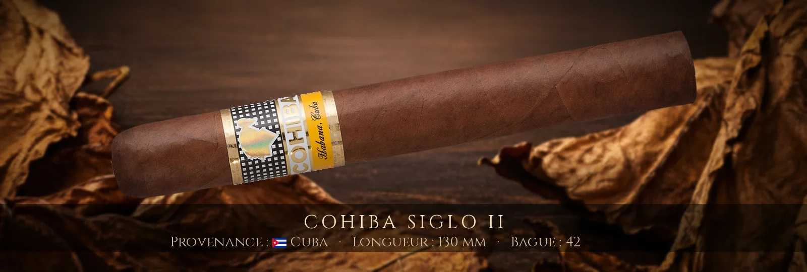 Cohiba Siglo II — Cohiba — Cuba
