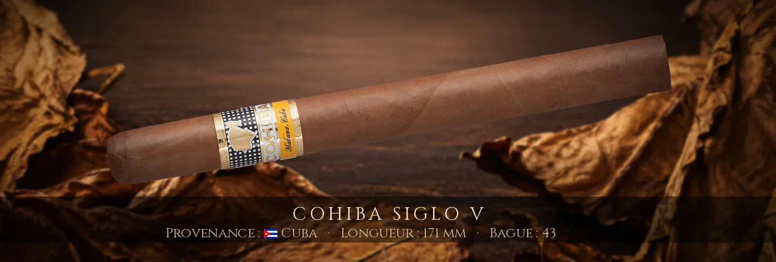 Cohiba Siglo V — Cohiba — Cuba