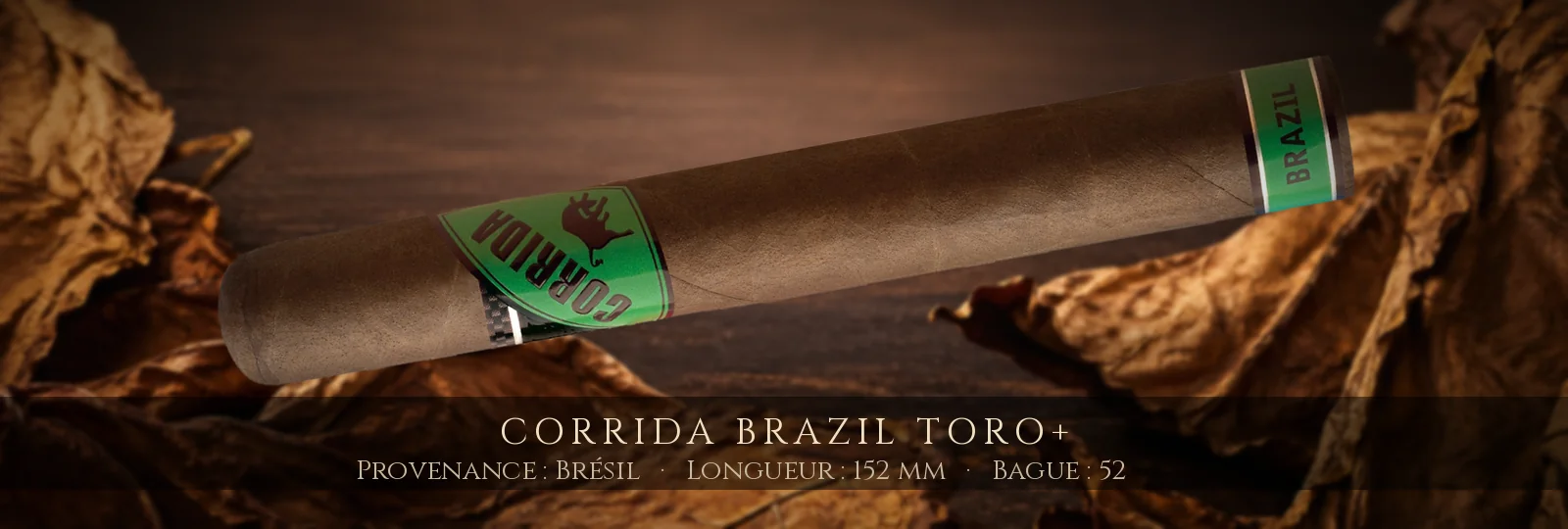 Corrida Brazil Toro+ — Corrida — Brésil