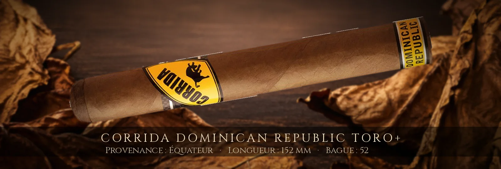 Corrida Dominican Republic Toro+ — Corrida — Équateur
