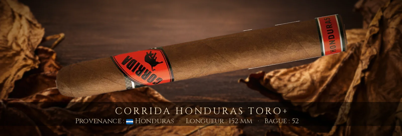Corrida Honduras Toro+ — Corrida — Honduras