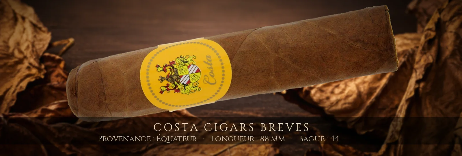 Costa Cigars Breves — Costa — Équateur