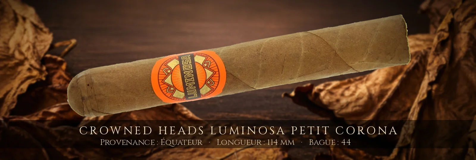 Crowned Heads Luminosa Petit Corona — Crowned Heads — Équateur