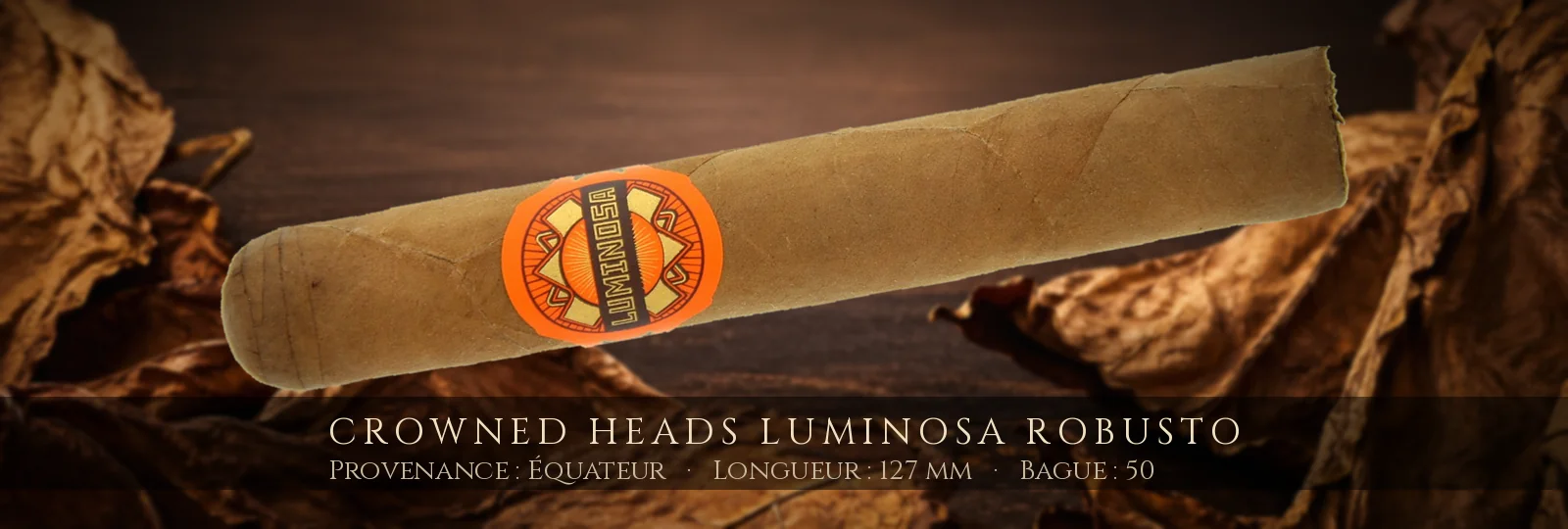 Crowned Heads Luminosa Robusto — Crowned Heads — Équateur