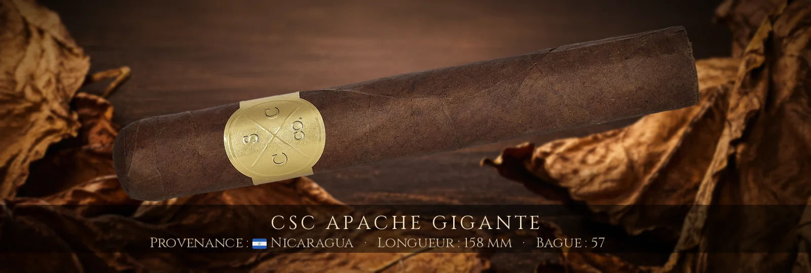 CSC Apache Gigante — CSC — Nicaragua