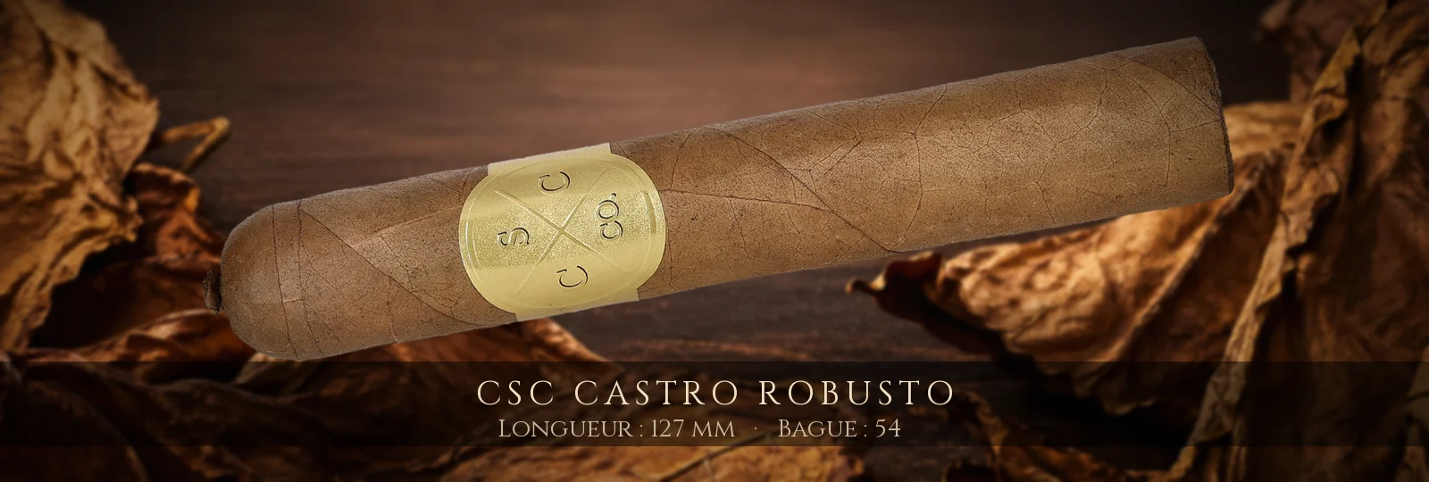 CSC Castro Robusto — CSC