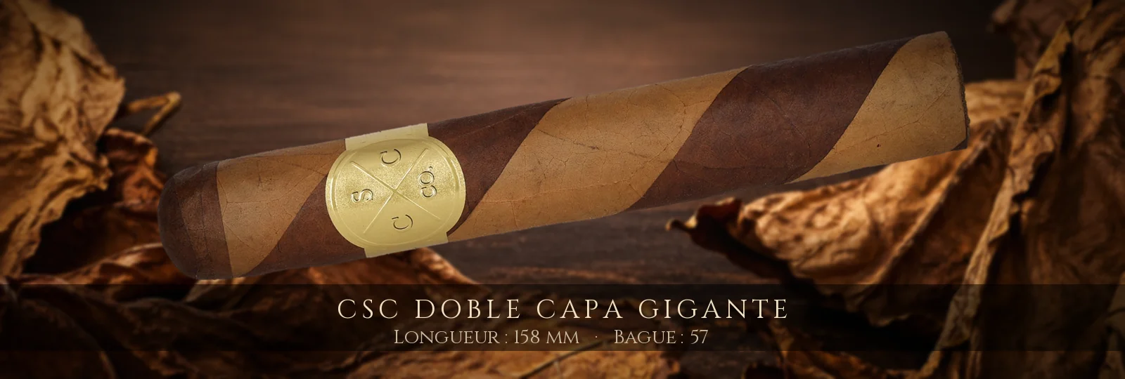 CSC Doble Capa Gigante — CSC