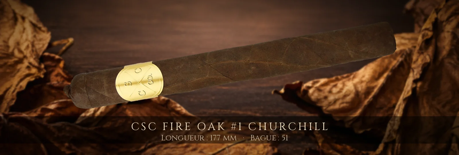 CSC Fire Oak #1 Churchill — CSC