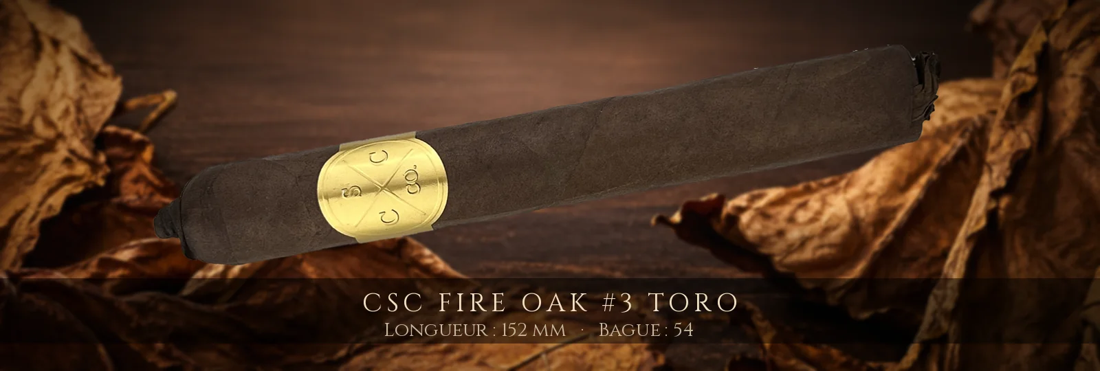 CSC Fire Oak #3 Toro — CSC