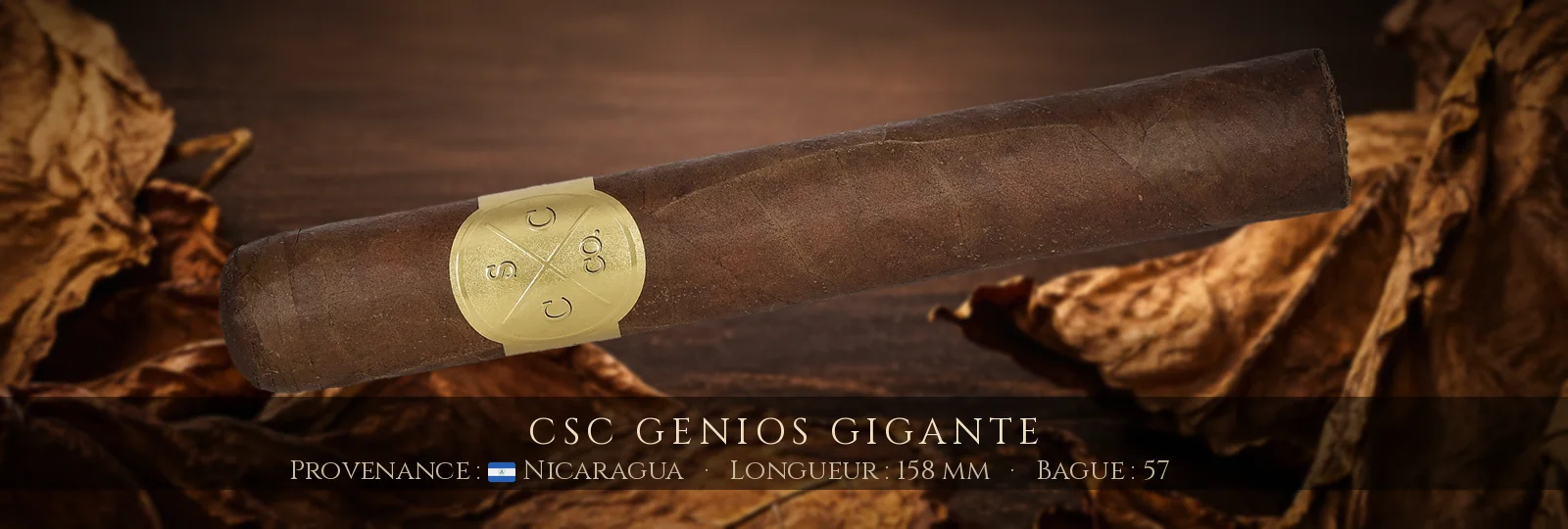 CSC Genios Gigante — CSC — Nicaragua