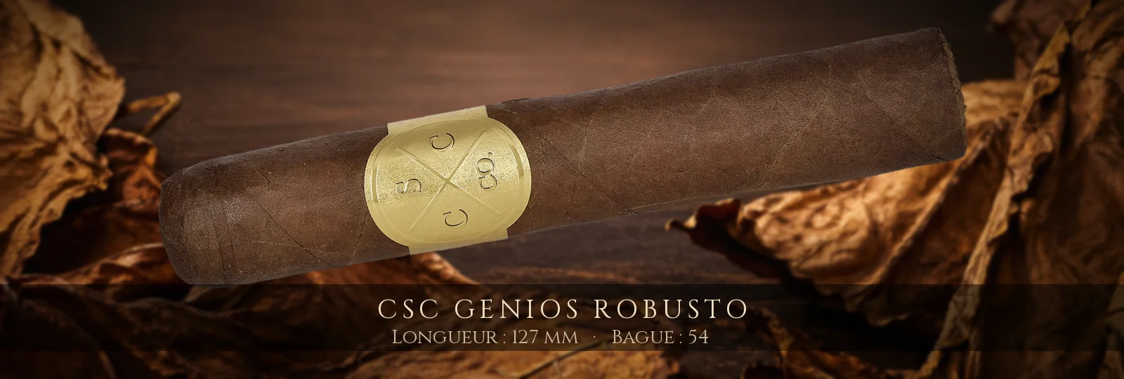 CSC Genios Robusto — CSC