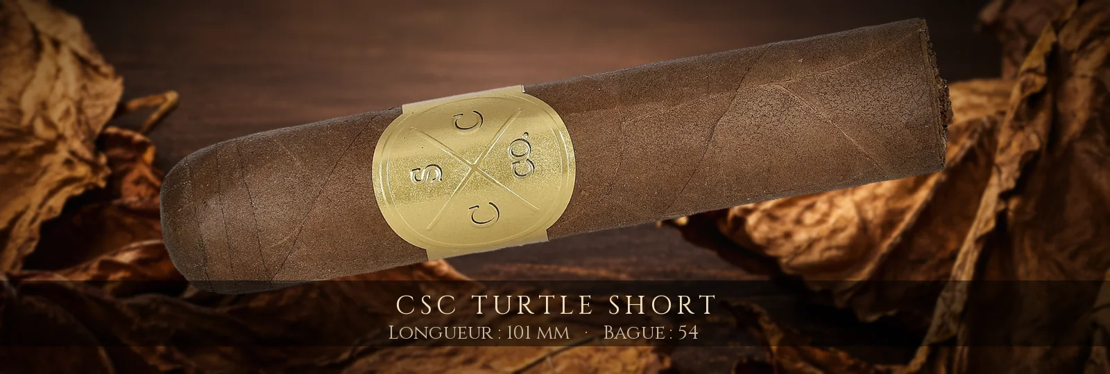CSC Turtle Short — CSC