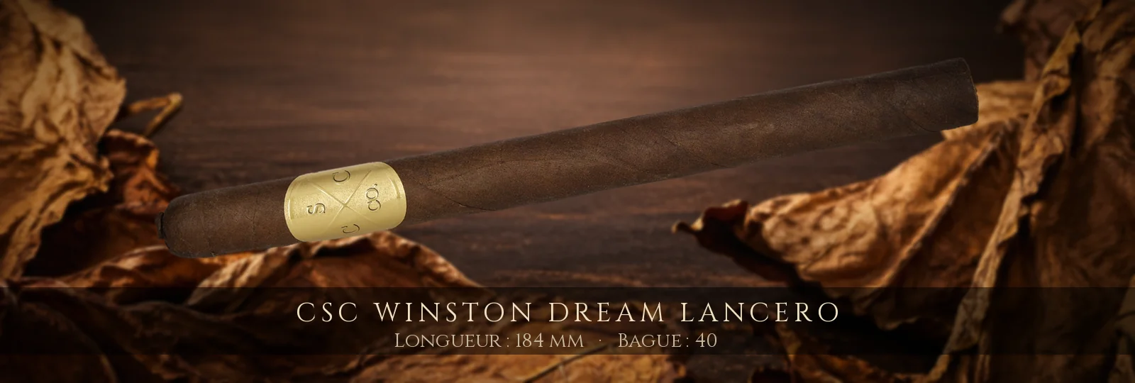 CSC Winston Dream Lancero — CSC