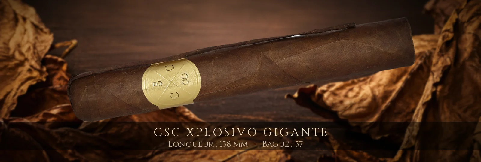 CSC Xplosivo Gigante — CSC