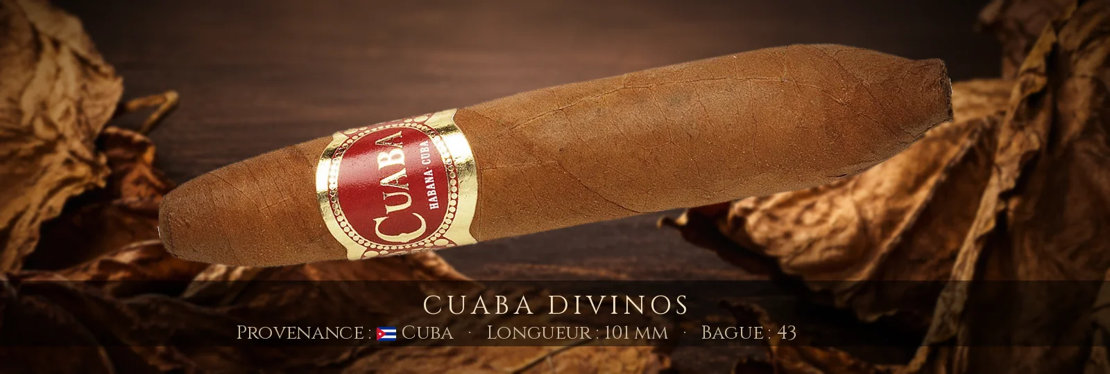 Cuaba Divinos