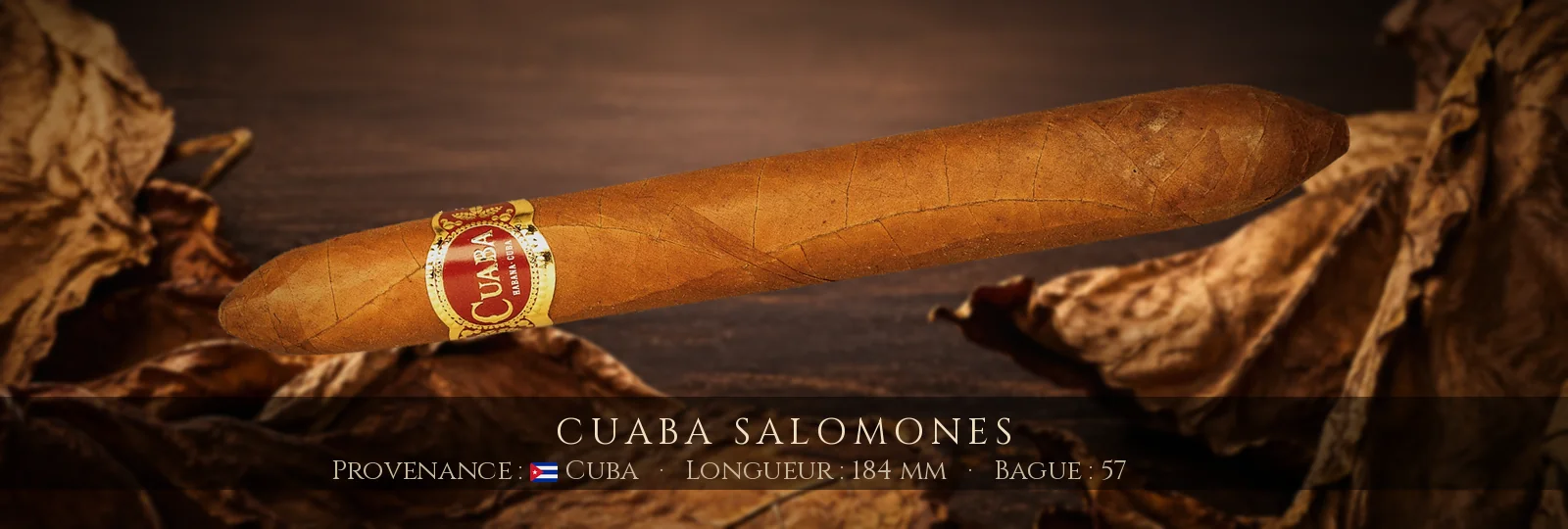 Cuaba Salomones
