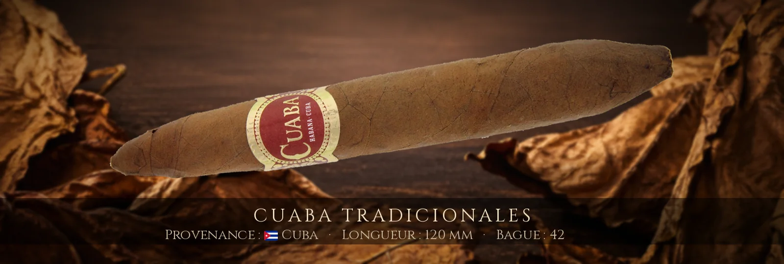 Cuaba Tradicionales