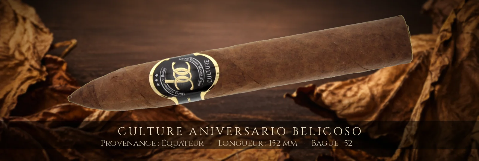Culture Aniversario Belicoso — Culture — Équateur