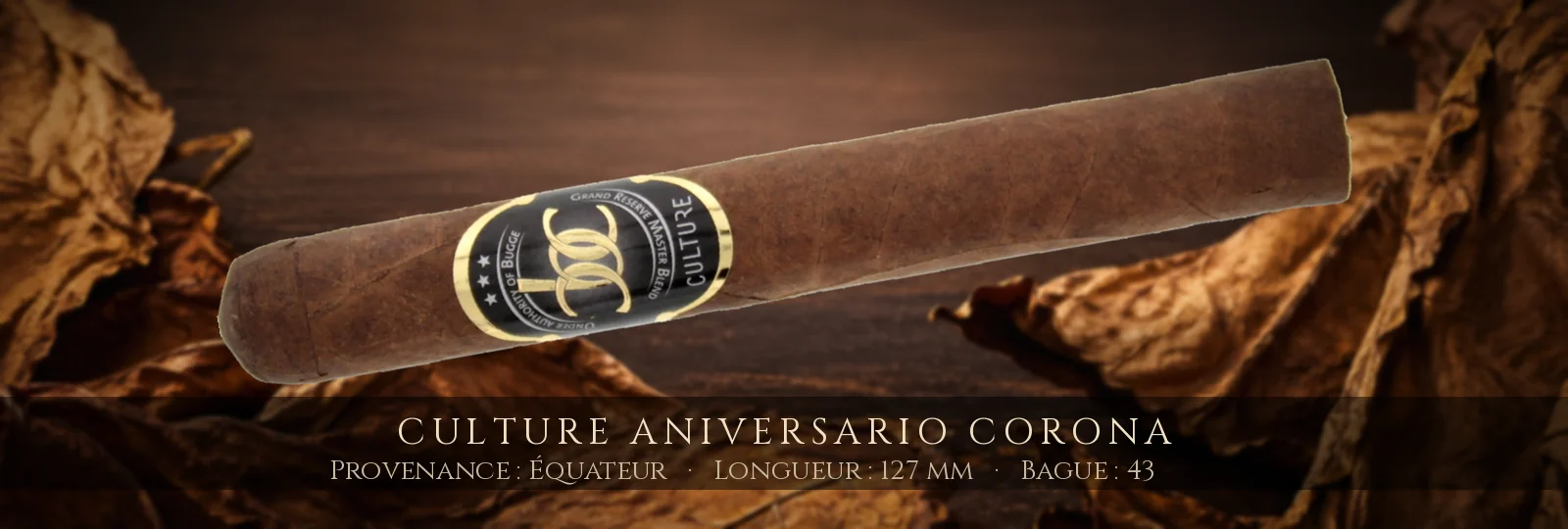 Culture Aniversario Corona — Culture — Équateur