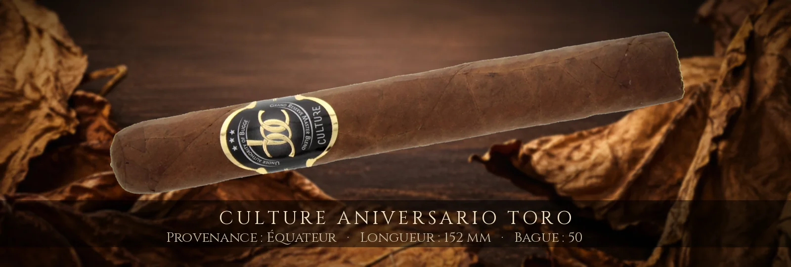 Culture Aniversario Toro — Culture — Équateur