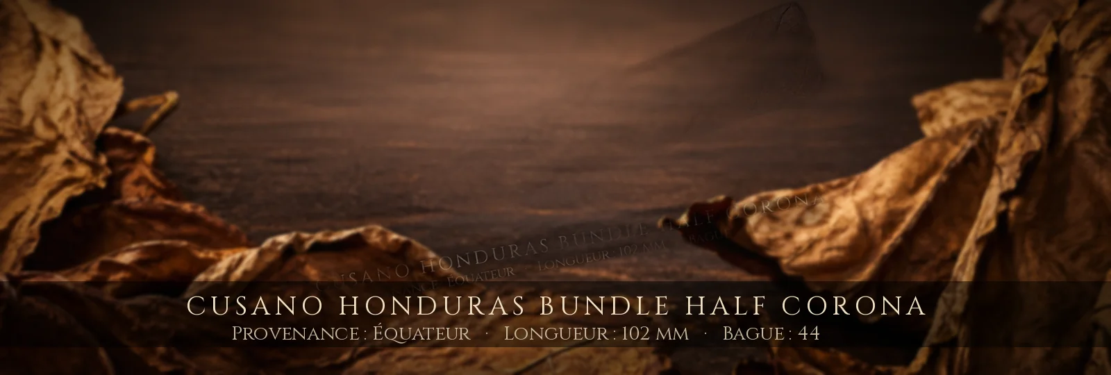Cusano Honduras Bundle Half Corona — Cusano — Équateur