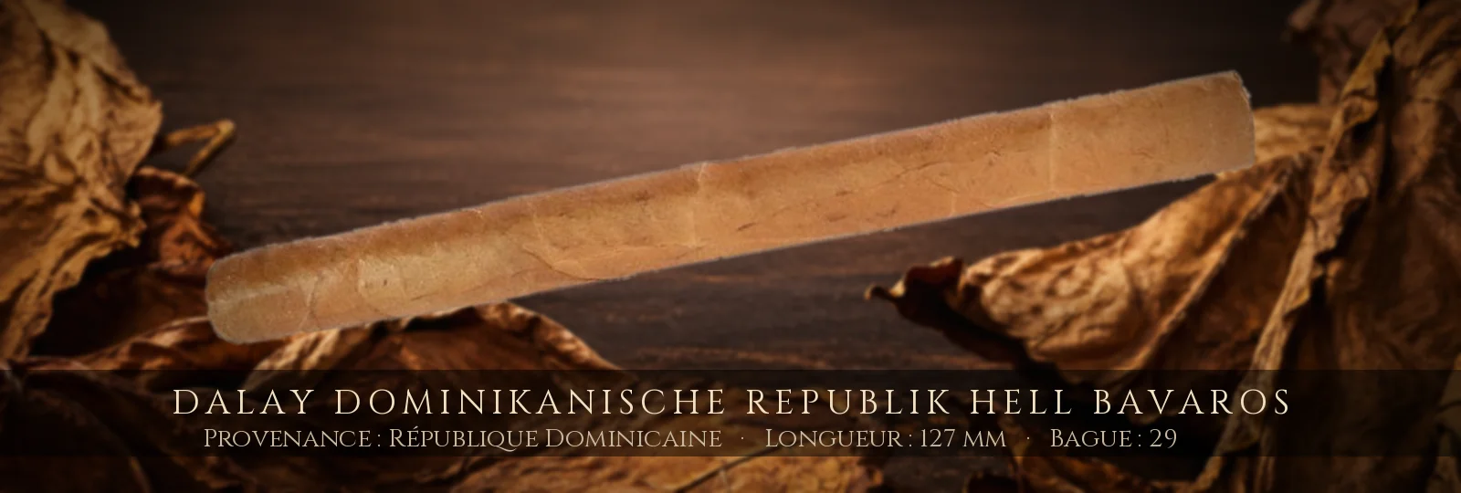 Dalay Dominikanische Republik Hell Bavaros