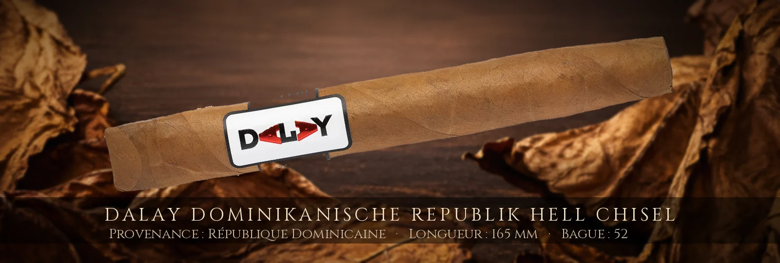 Dalay Dominikanische Republik Hell Chisel