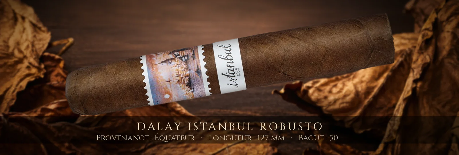 Dalay Istanbul Robusto — Dalay — Équateur