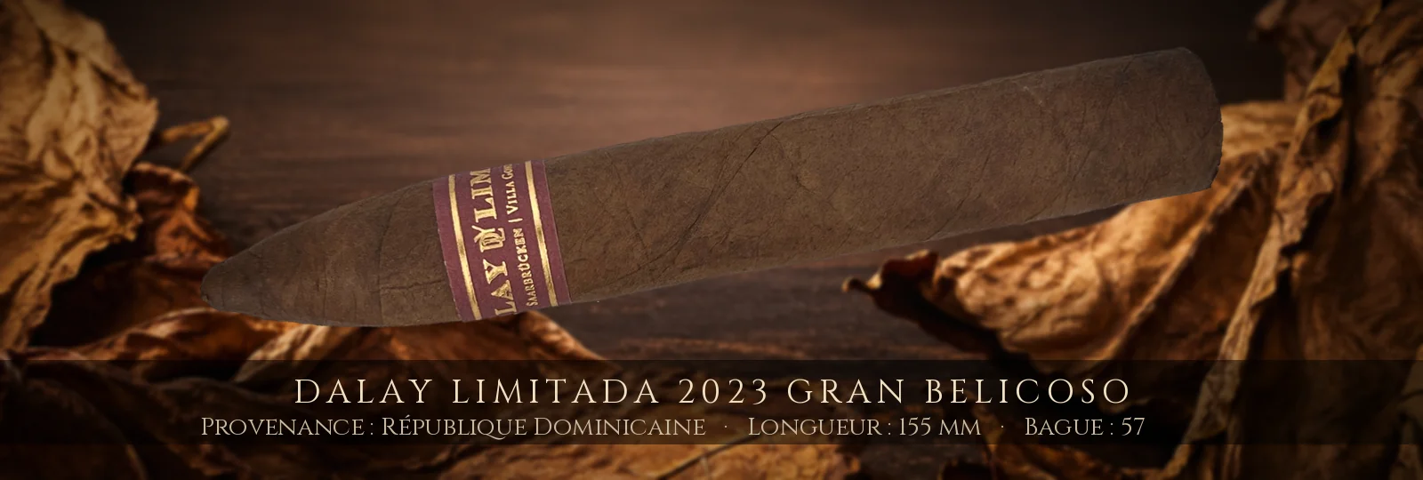 Dalay Limitada 2023 Gran Belicoso — Dalay — République Dominicaine