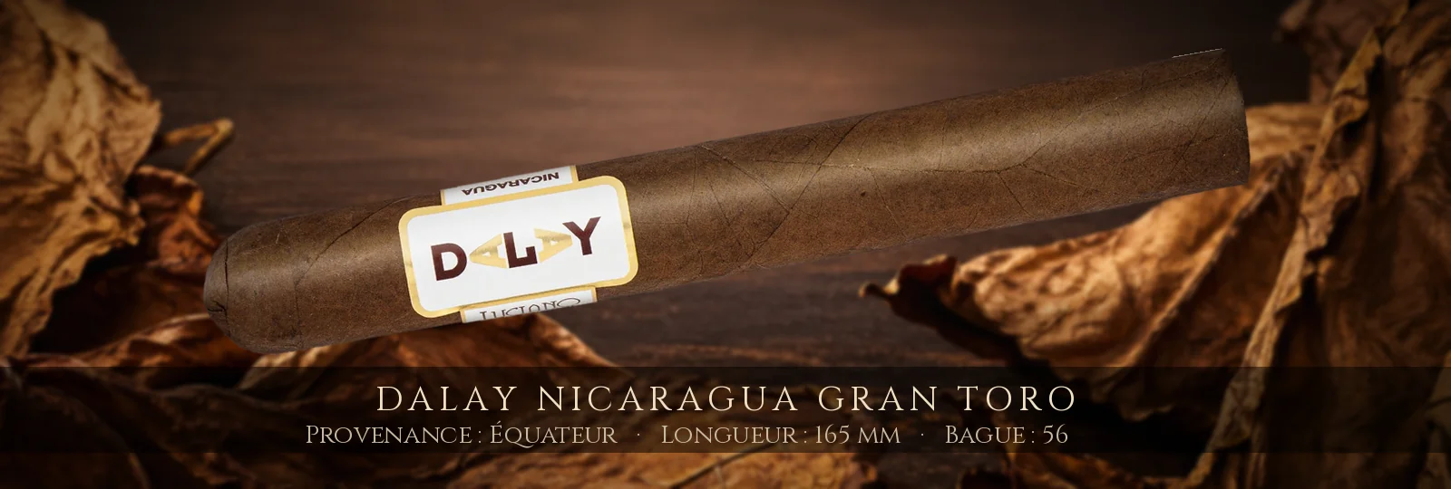 Dalay Nicaragua Gran Toro