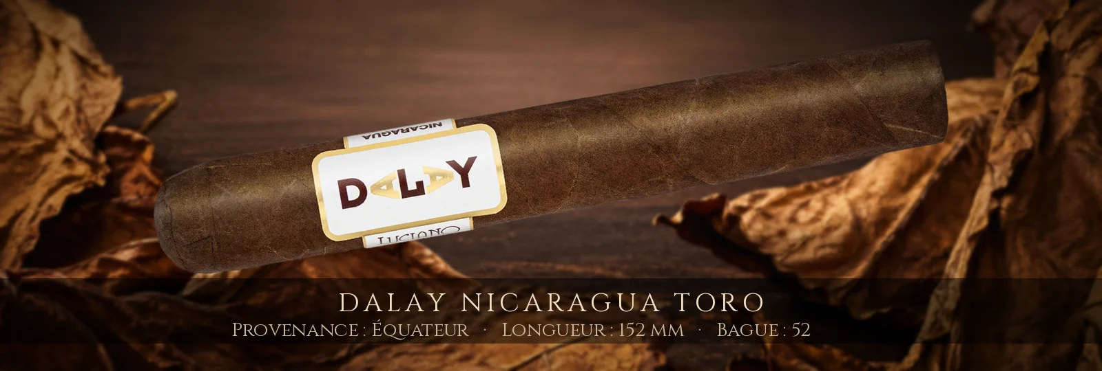 Dalay Nicaragua Toro