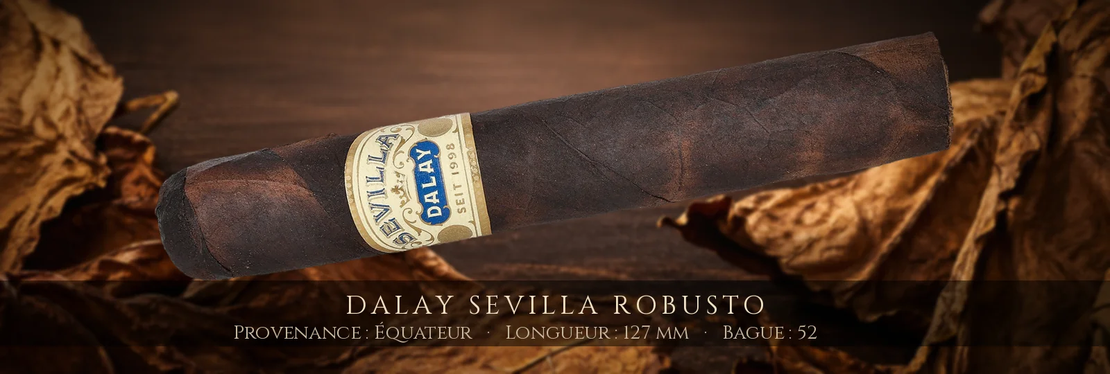 Dalay Sevilla Robusto — Dalay — Équateur