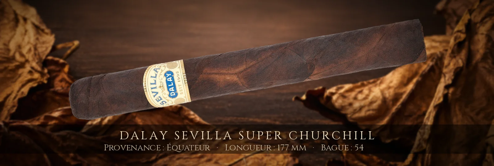 Dalay Sevilla Super Churchill — Dalay — Équateur