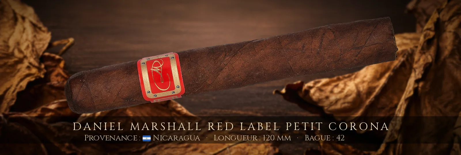 Daniel Marshall Red Label Petit Corona