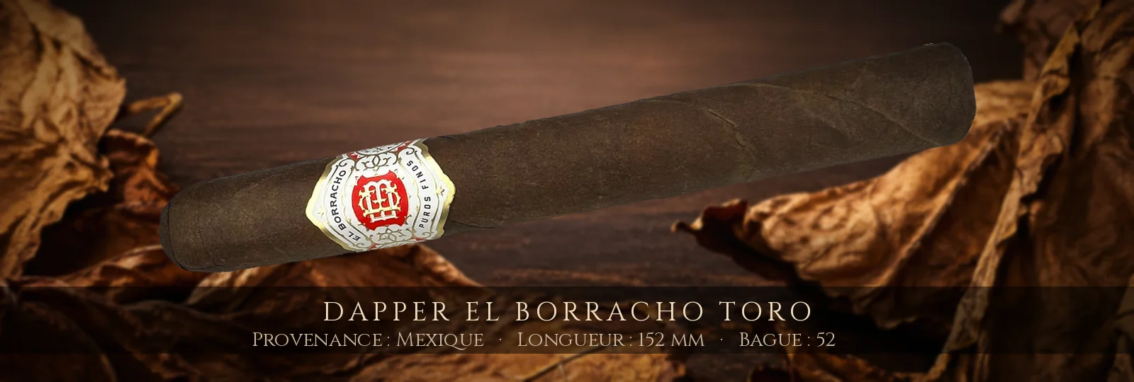 Dapper El Borracho Toro — Dapper — Mexique
