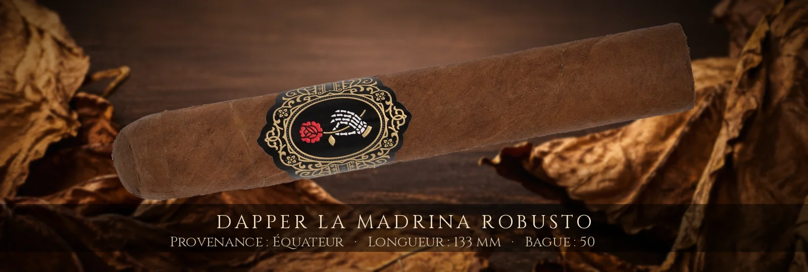Dapper La Madrina Robusto — Dapper — Équateur