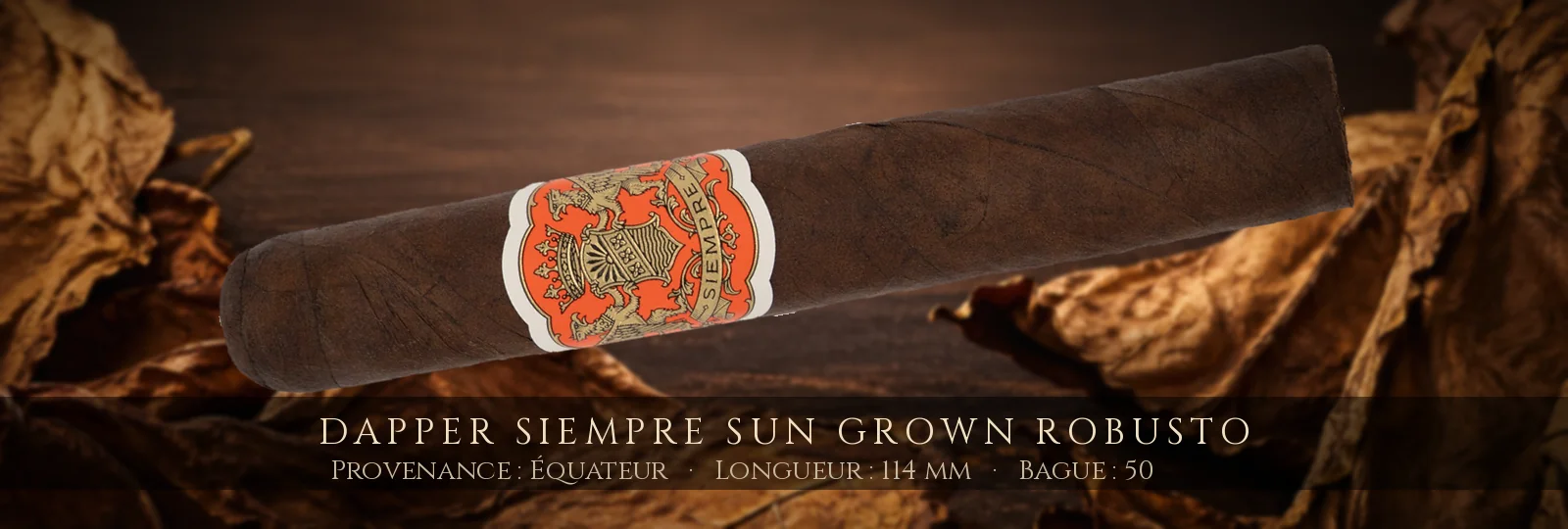 Dapper Siempre Sun Grown Robusto — Dapper — Équateur